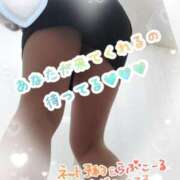 ヒメ日記 2025/02/19 11:30 投稿 ゆきの 新宿・新大久保おかあさん