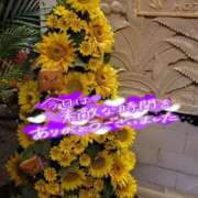 ヒメ日記 2025/07/01 23:20 投稿 ゆきの 新宿・新大久保おかあさん