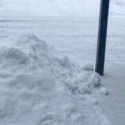 ヒメ日記 2025/01/23 15:25 投稿 ティナ ぷるるんギャング