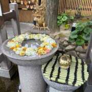 ティナ 暑いですね ぷるるんギャング