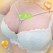 ヒメ日記 2025/01/19 09:53 投稿 国分寺やすか THE痴漢電車.com