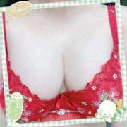 ヒメ日記 2025/12/30 12:53 投稿 国分寺やすか THE痴漢電車.com