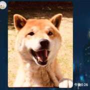 ヒメ日記 2025/01/02 19:18 投稿 ゆい 奥様電車