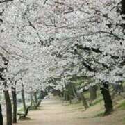 ヒメ日記 2025/03/31 22:12 投稿 ゆい 奥様電車