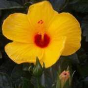 ヒメ日記 2025/04/16 22:19 投稿 ゆい 奥様電車