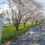 ヒメ日記 2025/04/22 09:48 投稿 ゆい 奥様電車