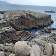 ヒメ日記 2025/05/03 20:47 投稿 ゆい 奥様電車