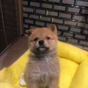 ヒメ日記 2025/05/18 11:36 投稿 ゆい 奥様電車