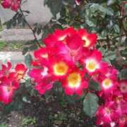 ヒメ日記 2025/05/20 21:19 投稿 ゆい 奥様電車