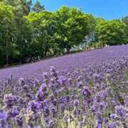 ヒメ日記 2025/07/14 10:00 投稿 ゆい 奥様電車