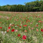 ヒメ日記 2025/07/24 15:14 投稿 ゆい 奥様電車