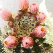 ヒメ日記 2025/08/28 09:47 投稿 ゆい 奥様電車