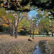 ヒメ日記 2025/11/04 19:33 投稿 ゆい 奥様電車