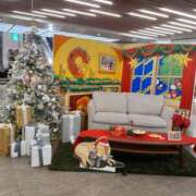 ヒメ日記 2025/12/18 19:44 投稿 ゆい 奥様電車