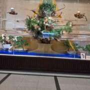 ヒメ日記 2025/12/28 22:57 投稿 ゆい 奥様電車