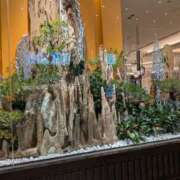 ヒメ日記 2025/12/30 22:05 投稿 ゆい 奥様電車