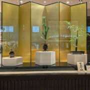 ヒメ日記 2026/01/01 12:30 投稿 ゆい 奥様電車