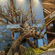 ヒメ日記 2026/01/02 16:17 投稿 ゆい 奥様電車