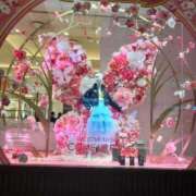 ヒメ日記 2026/02/22 17:20 投稿 ゆい 奥様電車