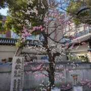 ヒメ日記 2026/03/01 17:19 投稿 ゆい 奥様電車