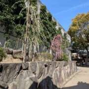 ヒメ日記 2026/03/08 17:20 投稿 ゆい 奥様電車