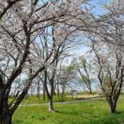 ヒメ日記 2026/03/28 10:35 投稿 ゆい 奥様電車