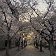 ヒメ日記 2026/03/31 12:11 投稿 ゆい 奥様電車