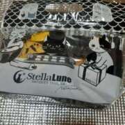 ヒメ日記 2026/04/13 21:21 投稿 ゆい 奥様電車