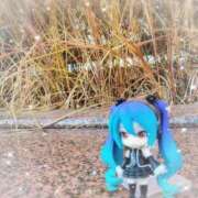 ヒメ日記 2025/01/08 14:39 投稿 すい タレントCLUB