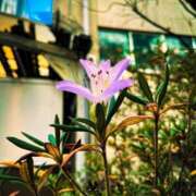 ヒメ日記 2025/05/12 12:38 投稿 すい タレントCLUB