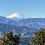 ヒメ日記 2025/01/10 16:05 投稿 有村みお セレブショップ新宿（東京ハレ系）