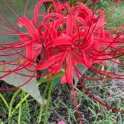 ヒメ日記 2025/09/19 13:44 投稿 有村みお セレブショップ新宿（東京ハレ系）