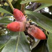 ヒメ日記 2025/10/07 13:17 投稿 有村みお セレブショップ新宿（東京ハレ系）