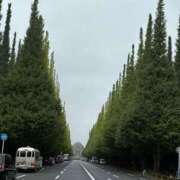 ヒメ日記 2025/10/20 14:01 投稿 有村みお セレブショップ新宿（東京ハレ系）