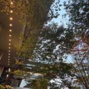 ヒメ日記 2025/11/16 07:07 投稿 有村みお セレブショップ新宿（東京ハレ系）