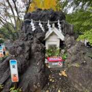 ヒメ日記 2025/11/20 16:50 投稿 有村みお セレブショップ新宿（東京ハレ系）