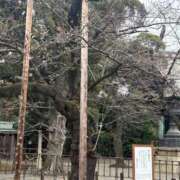 ヒメ日記 2026/03/19 15:03 投稿 有村みお セレブショップ新宿（東京ハレ系）