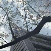 ヒメ日記 2026/03/27 13:42 投稿 有村みお セレブショップ新宿（東京ハレ系）