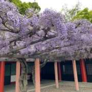 有村みお 見れなかった〜 セレブショップ新宿（東京ハレ系）