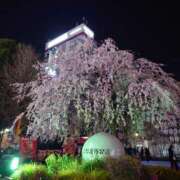 ヒメ日記 2025/04/04 12:11 投稿 あかね エンジェルシリカ