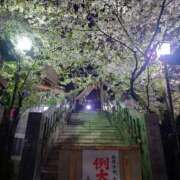 ヒメ日記 2025/04/04 22:21 投稿 あかね エンジェルシリカ