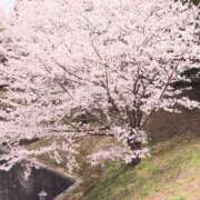 ヒメ日記 2025/04/05 13:57 投稿 あかね エンジェルシリカ