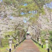 ヒメ日記 2025/04/14 11:10 投稿 あかね エンジェルシリカ