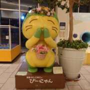 ヒメ日記 2025/05/13 14:02 投稿 あかね エンジェルシリカ