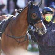 ヒメ日記 2025/07/05 12:22 投稿 あかね エンジェルシリカ