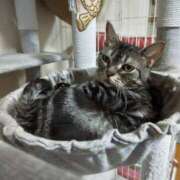 ヒメ日記 2025/08/12 13:06 投稿 あかね エンジェルシリカ