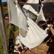 ヒメ日記 2025/12/13 12:46 投稿 あかね エンジェルシリカ