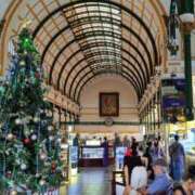 ヒメ日記 2025/12/25 11:46 投稿 あかね エンジェルシリカ