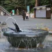 あかね 明日の土曜日でてます エンジェルシリカ