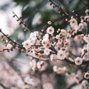 ヒメ日記 2026/01/31 14:48 投稿 あかね エンジェルシリカ